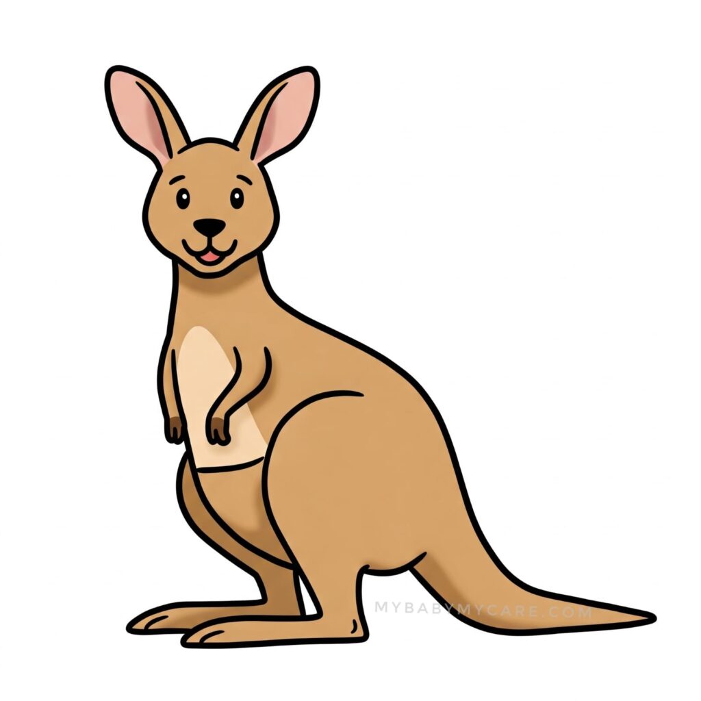 Kangaroo drawing for kids